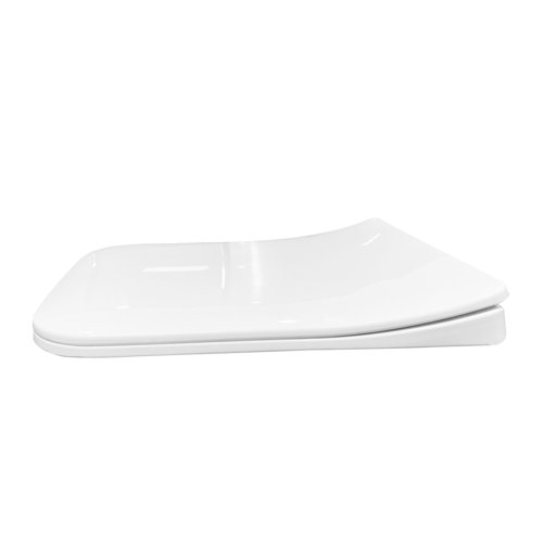 MOHOME Elongated Soft Close Toilet Seat and Lid Wayfair